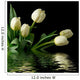 White Reflected Tulips Wall Mural