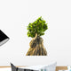 Bonsai Tree White
