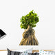 Bonsai Tree White