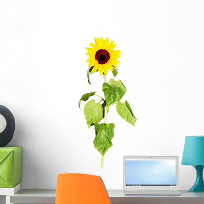 Tall Leafy Sunflower Wall Decal shown on a wall
