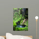 westcave waterfall and pool Wall Mural
