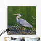 Walking Great Blue Heron Wall Mural
