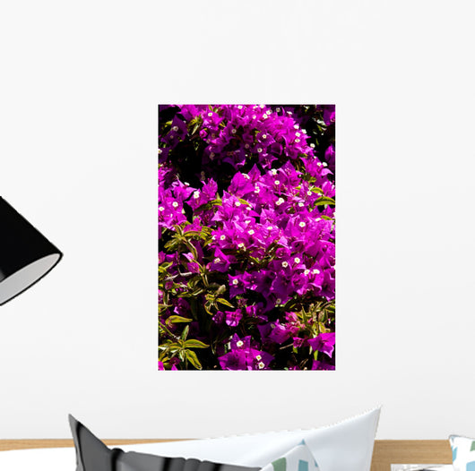 Fiori Wall Mural