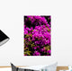 Fiori Wall Mural