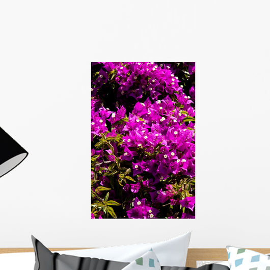 fiori Wall Mural