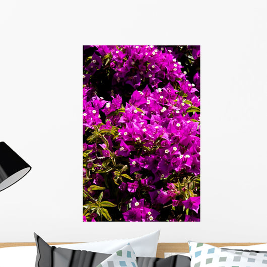 fiori Wall Mural
