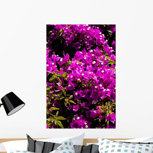 fiori Wall Mural