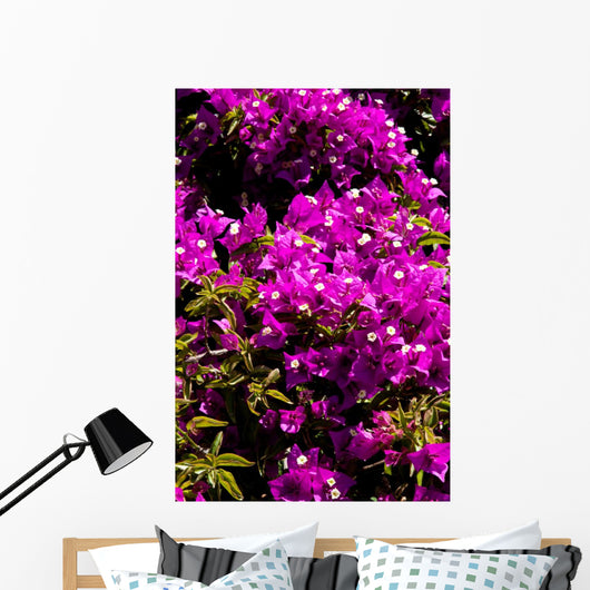 fiori Wall Mural