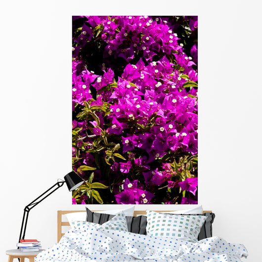 fiori Wall Mural