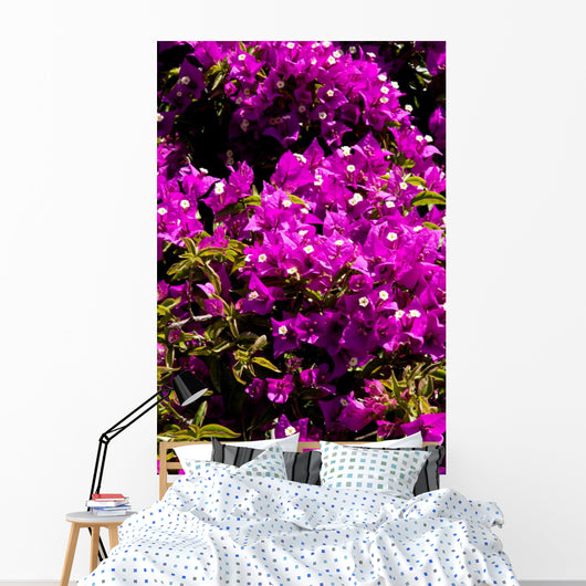fiori Wall Mural