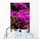 fiori Wall Mural