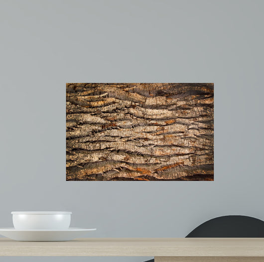 Bark Old Oak