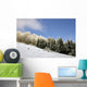 Mountain Landscape with Skier Wall Mural