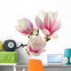 Smell Magnolia