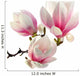 Smell Magnolia