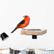 Tanager and Sunflower Seeds Wall Decal