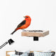Tanager and Sunflower Seeds Wall Decal