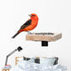 Tanager and Sunflower Seeds Wall Decal
