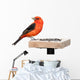 Tanager and Sunflower Seeds Wall Decal