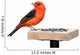 Tanager and Sunflower Seeds Wall Decal