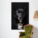 Portrait of a Black Dog Wall Mural