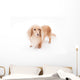 Golden Dachshund Wall Decal