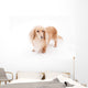Golden Dachshund Wall Decal