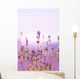 Lavender Wall Mural