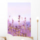 Lavender Wall Mural