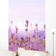 Lavender Wall Mural