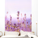 Lavender Wall Mural