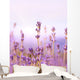Lavender Wall Mural