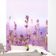 Lavender Wall Mural
