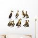 cute ducklings Wall Decal