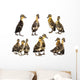 cute ducklings Wall Decal