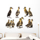 cute ducklings Wall Decal