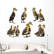 cute ducklings Wall Decal