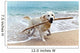 Labrador Retriever Beach