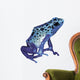 Poison Frog Wall Decal