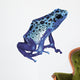 Poison Frog Wall Decal