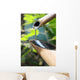 Zen fountain Wall Mural