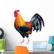 Rooster Photo-realistic Vector