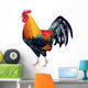 Rooster Photo-realistic Vector
