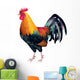 Rooster Photo-realistic Vector