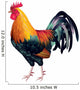 Rooster Photo-realistic Vector