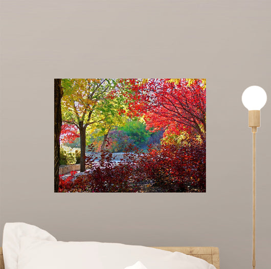 Backlit Fall Wall Decal