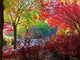 Backlit Fall Wall Decal