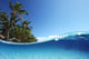 Tropics