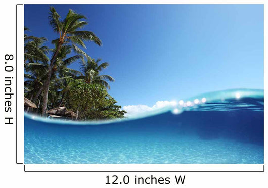 Tropics