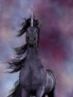 Black Unicorn